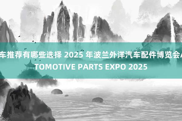 新车推荐有哪些选择 2025 年波兰外洋汽车配件博览会AUTOMOTIVE PARTS EXPO 2025