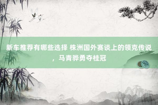 新车推荐有哪些选择 株洲国外赛谈上的领克传说，马青骅勇夺桂冠