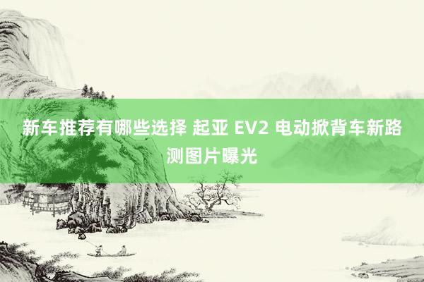 新车推荐有哪些选择 起亚 EV2 电动掀背车新路测图片曝光