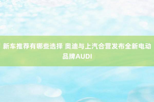 新车推荐有哪些选择 奥迪与上汽合营发布全新电动品牌AUDI