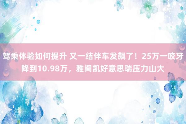 驾乘体验如何提升 又一结伴车发飙了！25万一咬牙降到10.98万，雅阁凯好意思瑞压力山大