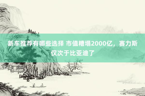 新车推荐有哪些选择 市值糟塌2000亿，赛力斯仅次于比亚迪了