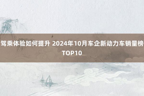 驾乘体验如何提升 2024年10月车企新动力车销量榜TOP10