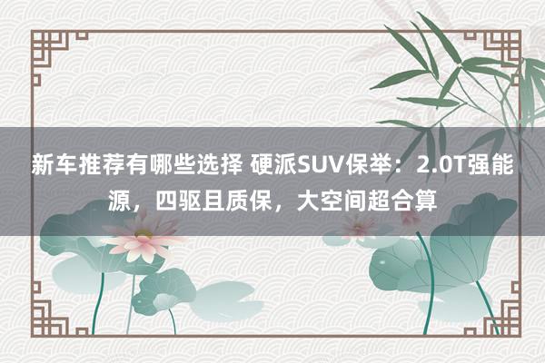 新车推荐有哪些选择 硬派SUV保举：2.0T强能源，四驱且质保，大空间超合算