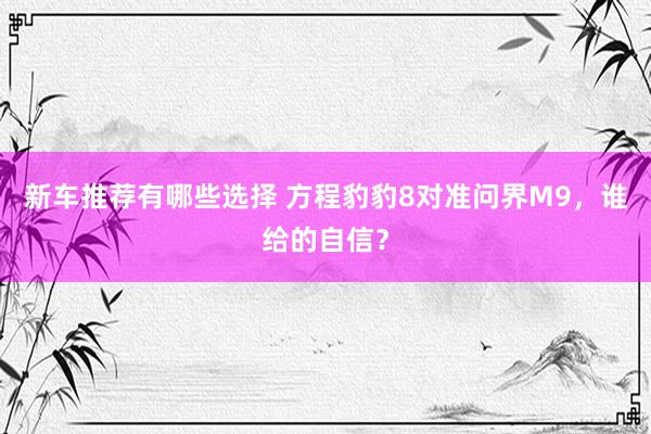 新车推荐有哪些选择 方程豹豹8对准问界M9，谁给的自信？