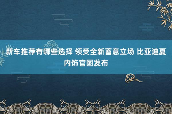 新车推荐有哪些选择 领受全新蓄意立场 比亚迪夏内饰官图发布