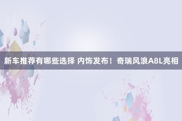 新车推荐有哪些选择 内饰发布！奇瑞风浪A8L亮相