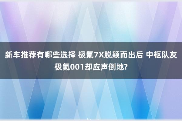 新车推荐有哪些选择 极氪7X脱颖而出后 中枢队友极氪001却应声倒地?