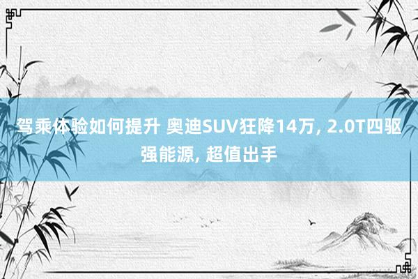 驾乘体验如何提升 奥迪SUV狂降14万, 2.0T四驱强能源, 超值出手