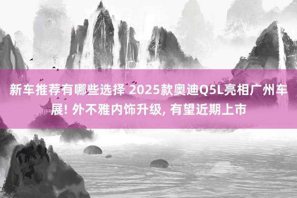 新车推荐有哪些选择 2025款奥迪Q5L亮相广州车展! 外不雅内饰升级, 有望近期上市