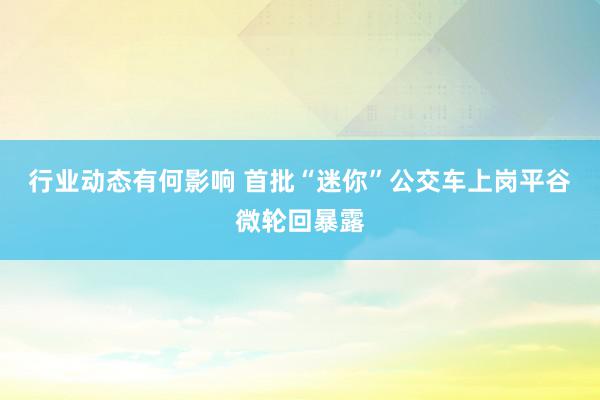 行业动态有何影响 首批“迷你”公交车上岗平谷微轮回暴露