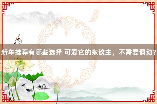 新车推荐有哪些选择 可爱它的东谈主，不需要调动？