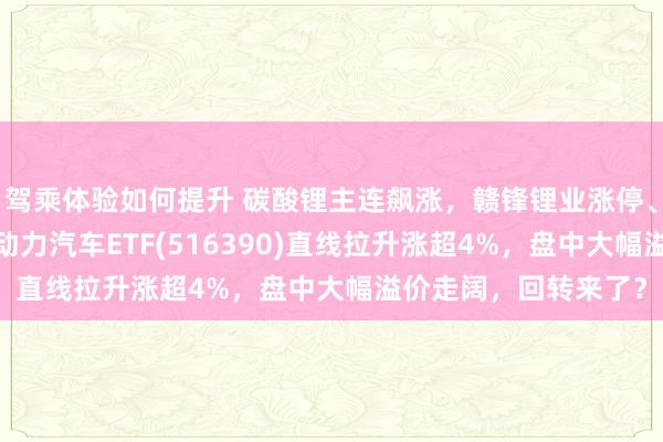 驾乘体验如何提升 碳酸锂主连飙涨，赣锋锂业涨停、宁德时期涨3%，新动力汽车ETF(516390)直线拉升涨超4%，盘中大幅溢价走阔，回转来了？