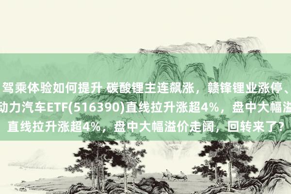 驾乘体验如何提升 碳酸锂主连飙涨，赣锋锂业涨停、宁德期间涨3%，新动力汽车ETF(516390)直线拉升涨超4%，盘中大幅溢价走阔，回转来了？