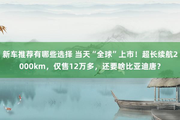 新车推荐有哪些选择 当天“全球”上市！超长续航2000km，仅售12万多，还要啥比亚迪唐？