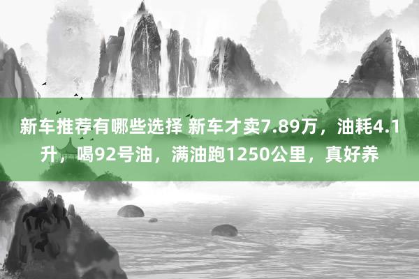 新车推荐有哪些选择 新车才卖7.89万，油耗4.1升，喝92号油，满油跑1250公里，真好养