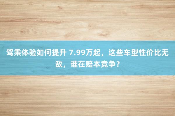 驾乘体验如何提升 7.99万起，这些车型性价比无敌，谁在赔本竞争？