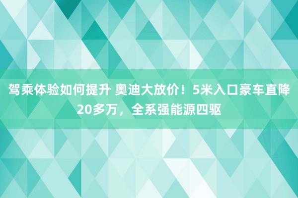 驾乘体验如何提升 奥迪大放价！5米入口豪车直降20多万，全系强能源四驱