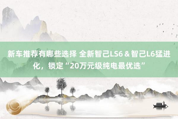 新车推荐有哪些选择 全新智己LS6＆智己L6猛进化，锁定“20万元级纯电最优选”