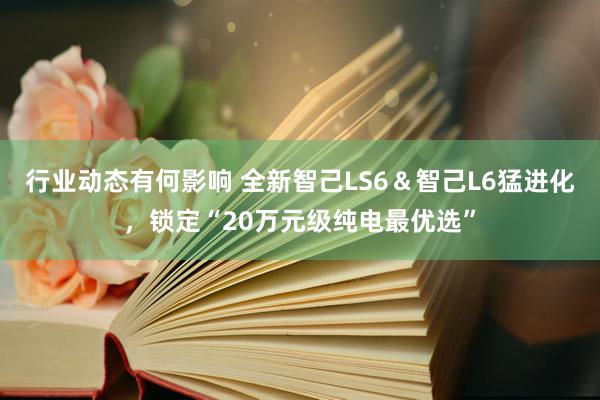 行业动态有何影响 全新智己LS6＆智己L6猛进化，锁定“20万元级纯电最优选”