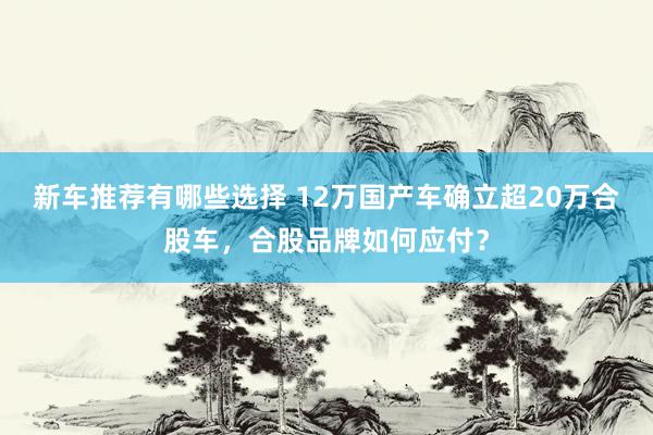 新车推荐有哪些选择 12万国产车确立超20万合股车，合股品牌如何应付？