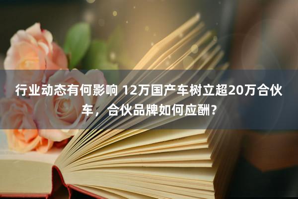 行业动态有何影响 12万国产车树立超20万合伙车，合伙品牌如何应酬？