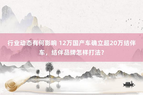 行业动态有何影响 12万国产车确立超20万结伴车，结伴品牌怎样打法？