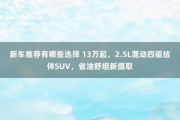 新车推荐有哪些选择 13万起，2.5L混动四驱结伴SUV，省油舒坦新摄取