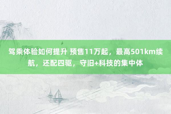 驾乘体验如何提升 预售11万起，最高501km续航，还配四驱，守旧+科技的集中体