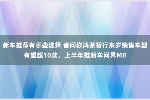 新车推荐有哪些选择 音问称鸿蒙智行来岁销售车型有望超10款，上半年推新车问界M8