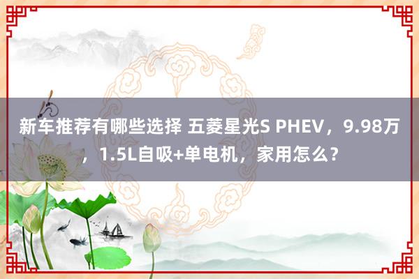 新车推荐有哪些选择 五菱星光S PHEV，9.98万，1.5L自吸+单电机，家用怎么？