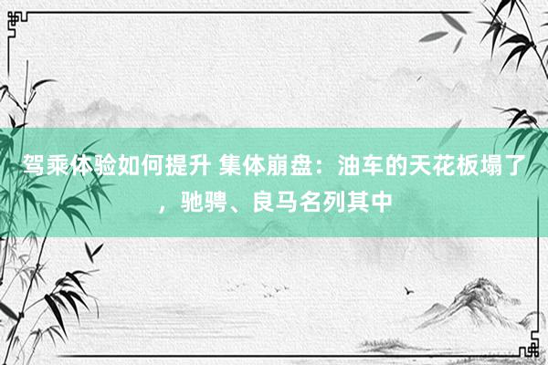 驾乘体验如何提升 集体崩盘：油车的天花板塌了，驰骋、良马名列其中