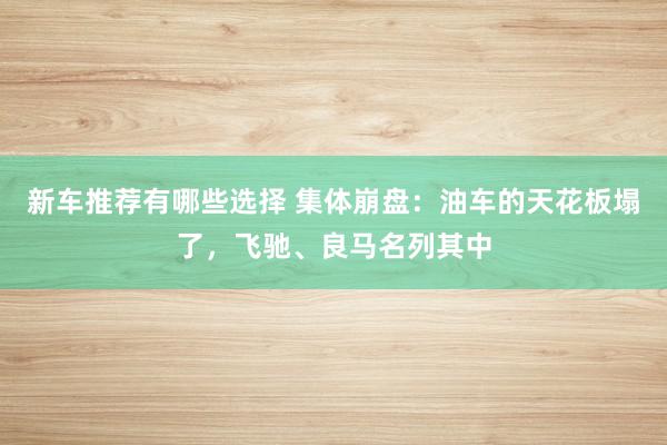 新车推荐有哪些选择 集体崩盘：油车的天花板塌了，飞驰、良马名列其中