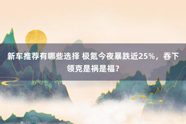 新车推荐有哪些选择 极氪今夜暴跌近25%，吞下领克是祸是福？