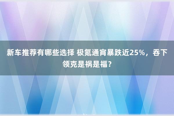 新车推荐有哪些选择 极氪通宵暴跌近25%，吞下领克是祸是福？