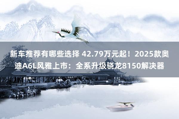 新车推荐有哪些选择 42.79万元起！2025款奥迪A6L风雅上市：全系升级骁龙8150解决器