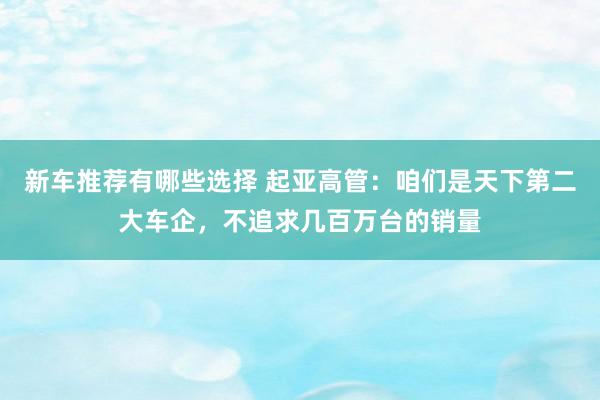 新车推荐有哪些选择 起亚高管：咱们是天下第二大车企，不追求几百万台的销量