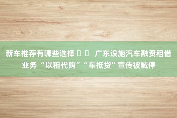 新车推荐有哪些选择 		 广东设施汽车融资租借业务 “以租代购”“车抵贷”宣传被喊停