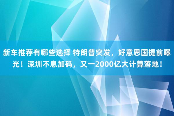 新车推荐有哪些选择 特朗普突发，好意思国提前曝光！深圳不息加码，又一2000亿大计算落地！