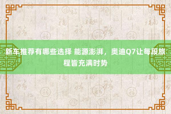 新车推荐有哪些选择 能源澎湃，奥迪Q7让每段旅程皆充满时势