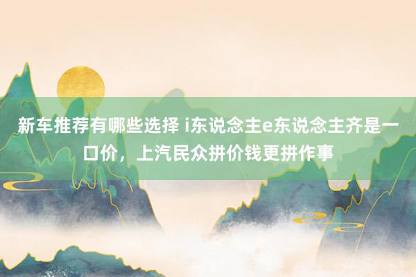 新车推荐有哪些选择 i东说念主e东说念主齐是一口价，上汽民众拼价钱更拼作事