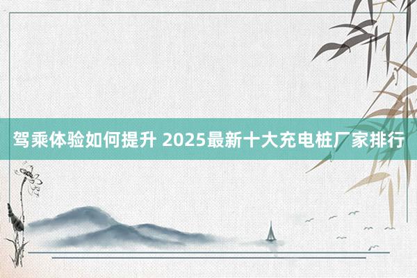 驾乘体验如何提升 2025最新十大充电桩厂家排行