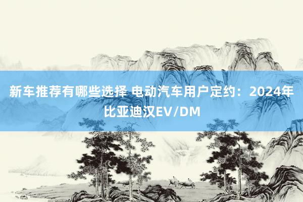 新车推荐有哪些选择 电动汽车用户定约：2024年比亚迪汉EV/DM