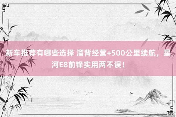 新车推荐有哪些选择 溜背经营+500公里续航，星河E8前锋实用两不误！