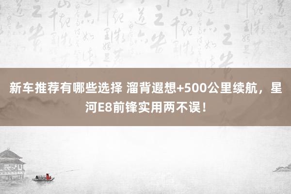 新车推荐有哪些选择 溜背遐想+500公里续航，星河E8前锋实用两不误！