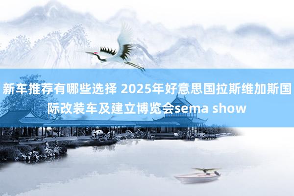 新车推荐有哪些选择 2025年好意思国拉斯维加斯国际改装车及建立博览会sema show