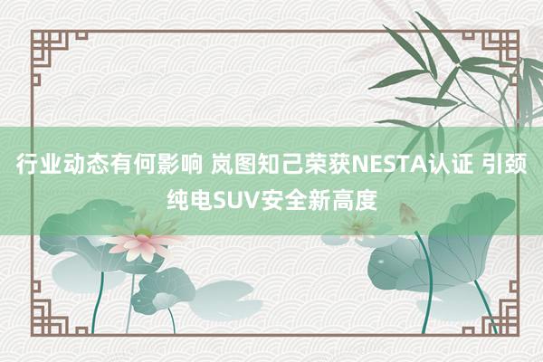 行业动态有何影响 岚图知己荣获NESTA认证 引颈纯电SUV安全新高度