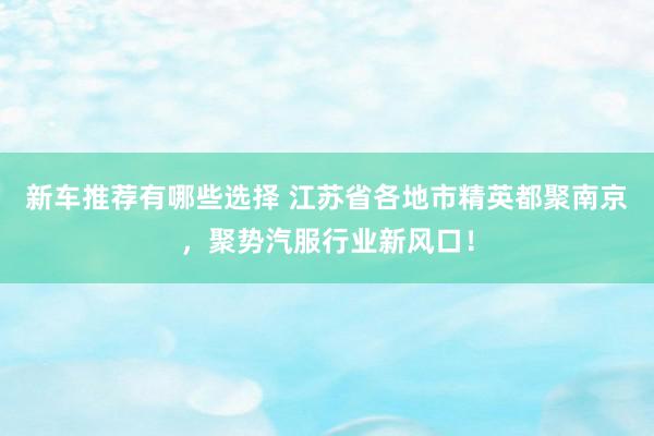 新车推荐有哪些选择 江苏省各地市精英都聚南京，聚势汽服行业新风口！