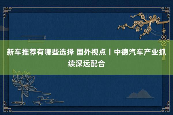 新车推荐有哪些选择 国外视点丨中德汽车产业抓续深远配合