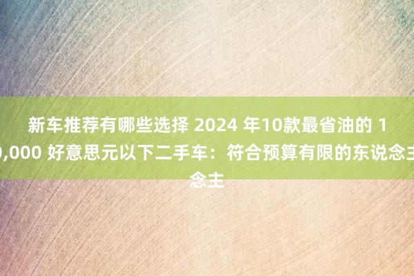 新车推荐有哪些选择 2024 年10款最省油的 10,000 好意思元以下二手车：符合预算有限的东说念主